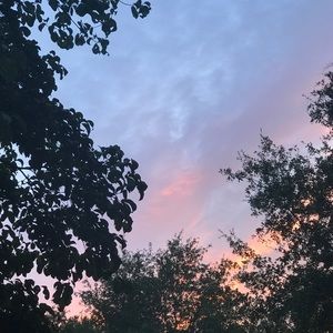 Meet your Posher, Amaya